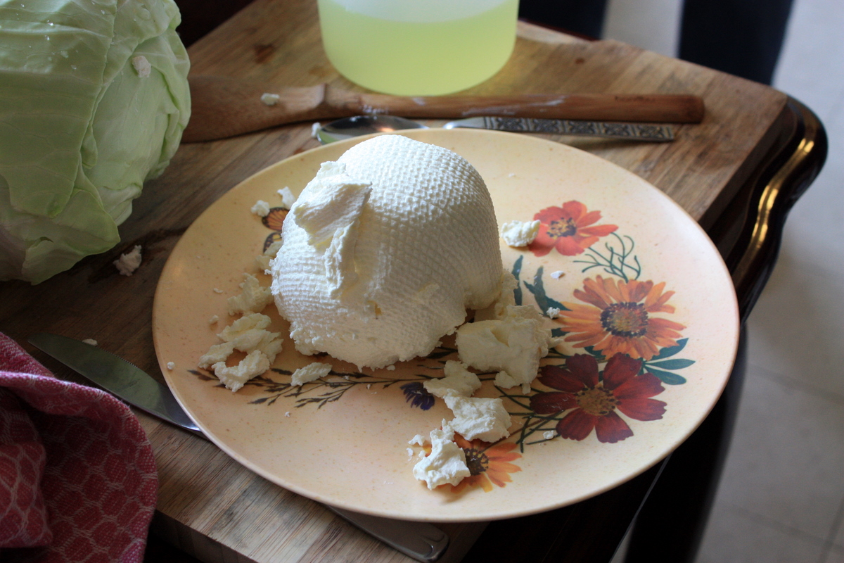 Labneh caseiro — Fotografia real de referência